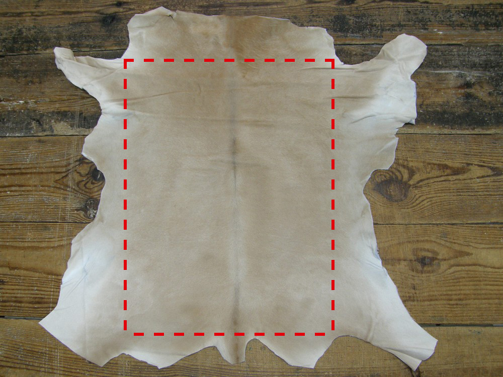 Mesure cuir