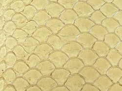 Détail écailles cuir de poisson tilapia beige glossy maroquinerie bijoux Cuir en stock