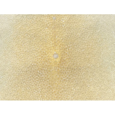 Peau de cuir de galuchat véritable exotique - Beige - Cuir en Stock
