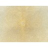Peau de cuir de galuchat véritable exotique - Beige - Cuir en Stock