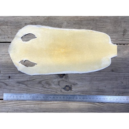 Peau de cuir de galuchat véritable exotique - Beige - Cuir en Stock