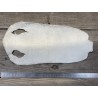 Peau de cuir de galuchat véritable exotique - Beige - Cuir en Stock