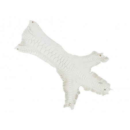 Peau cuir patte de coq blanc exotique luxe bijoux accessoire bracelet montre qualité Cuir en Stock