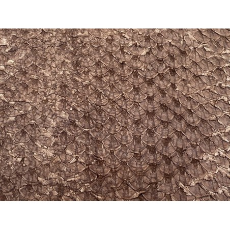 Cuir de poisson Perche du Nil - Brun tabac mat - Cuir en Stock