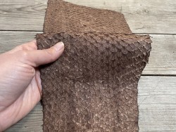 Cuir de poisson Perche du Nil - Brun tabac mat - Cuir en Stock