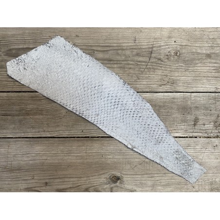 Peau envers cuir de poisson - Perche du Nil - Gris - bijou maroquinerie - luxe exotique cuirenstock