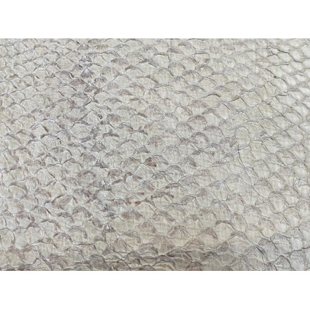 Détail écailles - cuir de poisson - Perche du Nil - Crème mat - Cuir en Stock