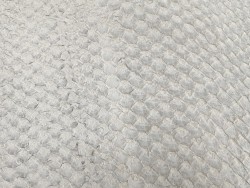 Détail écailles cuir peau poisson - Perche du Nil - Cuir en Stock