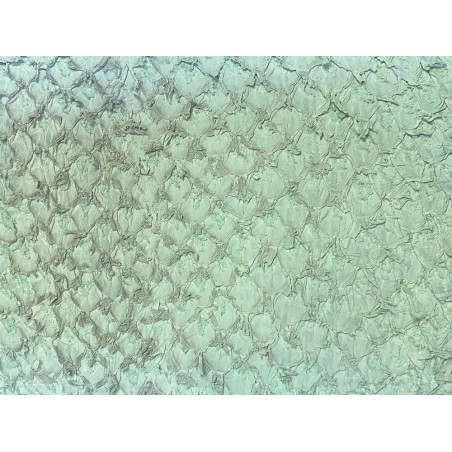 Cuir de poisson Perche du Nil mate - Vert d'eau - Cuir en Stock