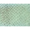 Cuir de poisson Perche du Nil mate - Vert d'eau - Cuir en Stock