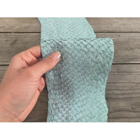 Cuir de poisson Perche du Nil mate - Vert d'eau - Cuir en Stock
