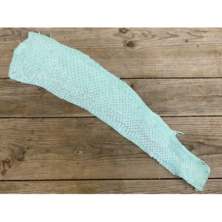 Cuir de poisson Perche du Nil mate - Vert d'eau - Cuir en Stock