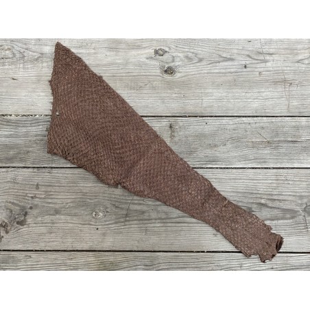 Cuir de poisson Perche du Nil - Brun noisette mat - Cuir en Stock