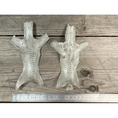 Peau cuir patte de coq qualité exotique luxe bijoux accessoire cuir en stock