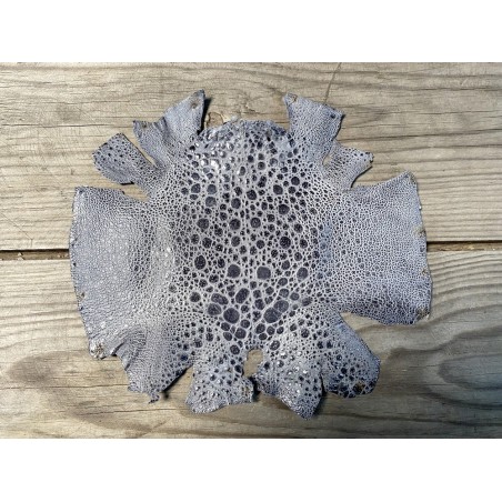 Peau de cuir de crapaud - grenouille - bullfrog - gris - bijou- maroquinerie - Cuir en stock