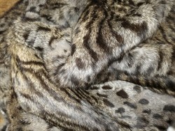 Tapis patchwork en peau de lapin - Lynx - Cuir en Stock