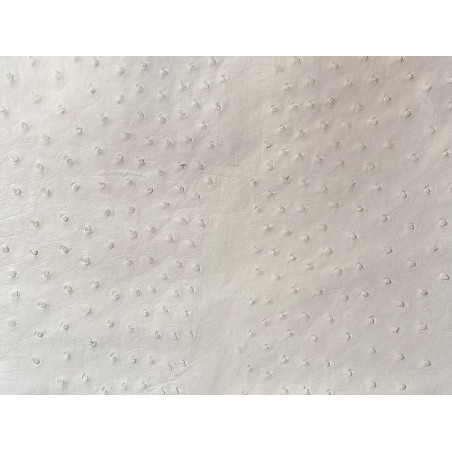 Peau de cuir d'autruche blanc - picots luxe - Cuir en stock