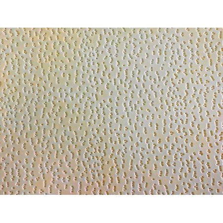 Peau de cuir d'agneau tannage végétal basane fauve - grain pécari - cuir en stock