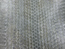 Peau de cuir de serpent véritable - serpent d'eau gris perle - accessoire - Cuir en stock