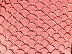 Cuir de poisson Tilapia rose mat maroquinerie bijoux accessoire Cuir en Stock