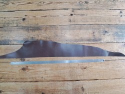 Bande de collet végétale - marron - cuir à ceinture - cuir en stock