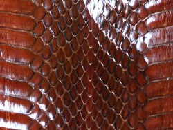 Peau de cuir de serpent - Marron - Cuir en Stock