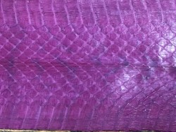 Peau de cuir de serpent cobra cirée - Aubergine - Cuir en Stock