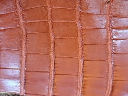 Peau de cuir de crocodile - brun caramel mat - maroquinerie - bijou - Cuir en Stock