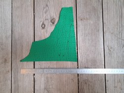 Morceau de peau de cuir de requin - Vert - Cuir en stock