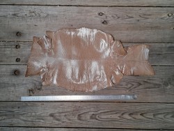 Peau de cuir de lézard -beige- accessoire bijou maroquinerie cuir en stock