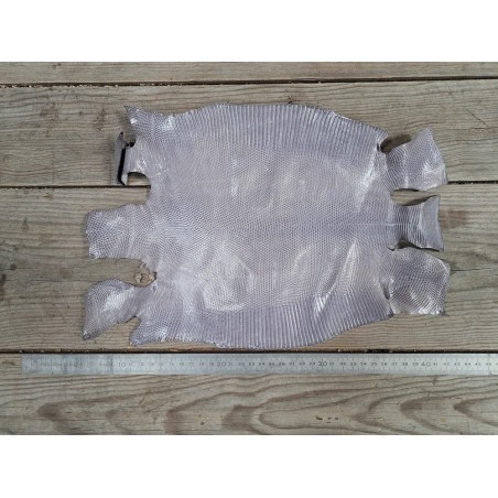 Grande peau de cuir de lézard - Gris violet - Cuir en stock