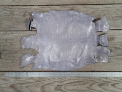 Grande peau de cuir de lézard - Gris violet - Cuir en stock