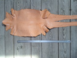 Peau de cuir de lézard - pêche - Cuir en stock
