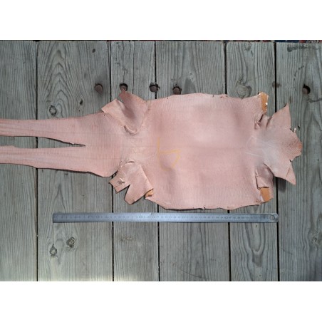 Peau de cuir de lézard - pêche - cuir en stock