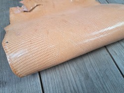Peau de cuir de lézard - pêche - Cuir en Stock