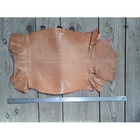 Grande peau de cuir de lézard - camel délicat- bijou - accessoire - Cuir en stock