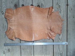 Grande peau de cuir de lézard - camel délicat- bijou - accessoire - Cuir en stock