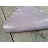 Grande peau de cuir de lézard - parme - Cuir en Stock