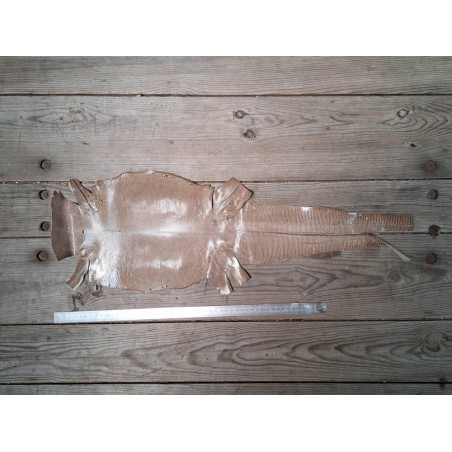 Peau de cuir de lézard - bambou- bijou accessoire marqueterie - Cuir en stock