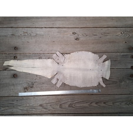 Peau de cuir de lézard - bambou- bijou accessoire marqueterie - cuir en stock