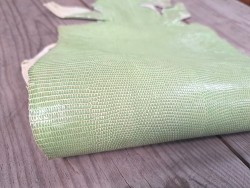peau de cuir de lézard - pistache - accessoire bijoux - cuir en stock