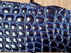 Morceau de cuir de crocodile bleu marine - Cuir en Stock