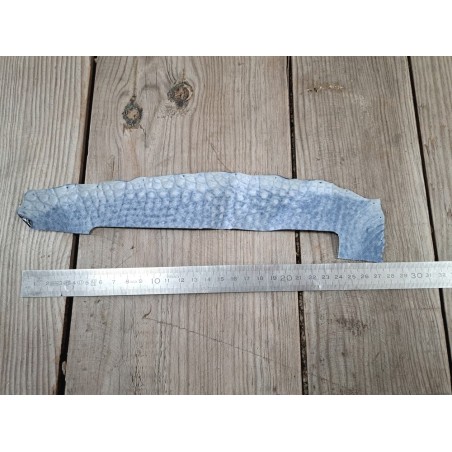 Morceau de cuir de crocodile bleu marine - Cuir en Stock