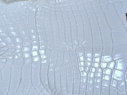 Peau de cuir crocodile blanc - Cuir en Stock