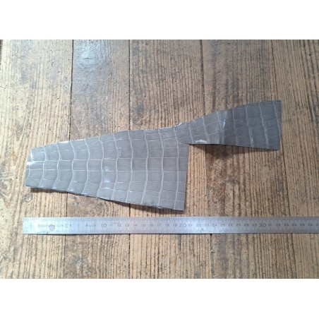Queue de crocodile véritable - Gris  - Cuirenstock