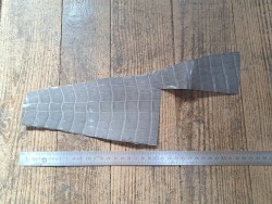 Queue de crocodile véritable - Gris - Cuirenstock