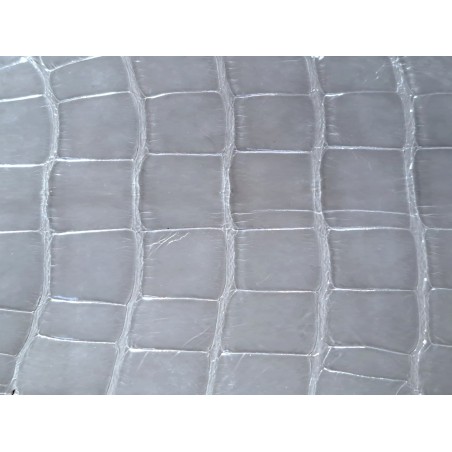 Queue de crocodile véritable - Gris  - Cuirenstock