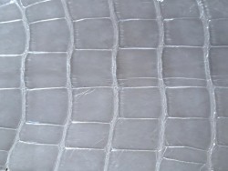 Queue de crocodile véritable - Gris - Cuirenstock