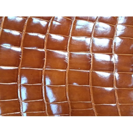 Morceau de cuir de crocodile véritable brun Cuir en stock