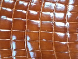 Morceau de cuir de crocodile véritable brun Cuir en stock